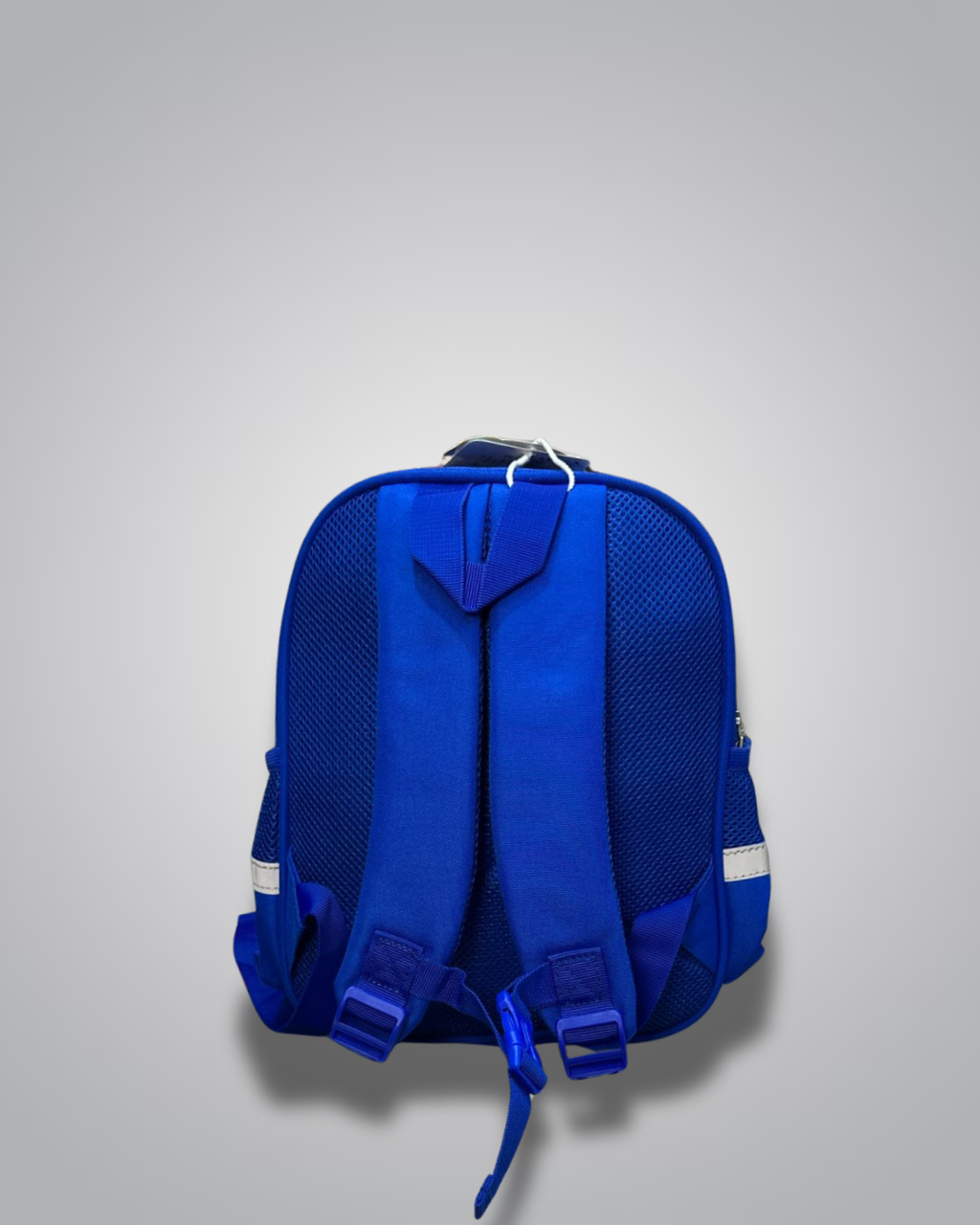 BAYLORBAG blue and green student backpack with matching pencil pouch- Valentino Impex